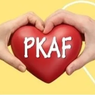 Pertubuhan Kebajikan AL-Firdausi